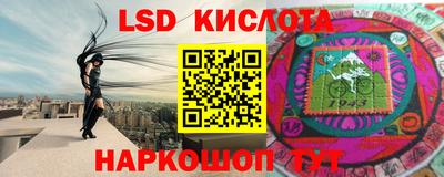 гашик Камышлов