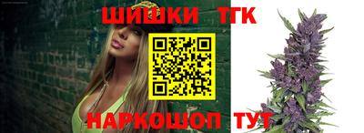 гашик Камышлов
