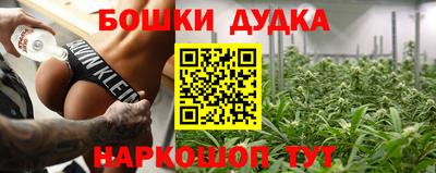 гашик Камышлов