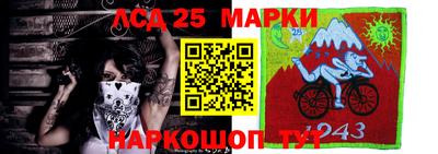 гашик Камышлов
