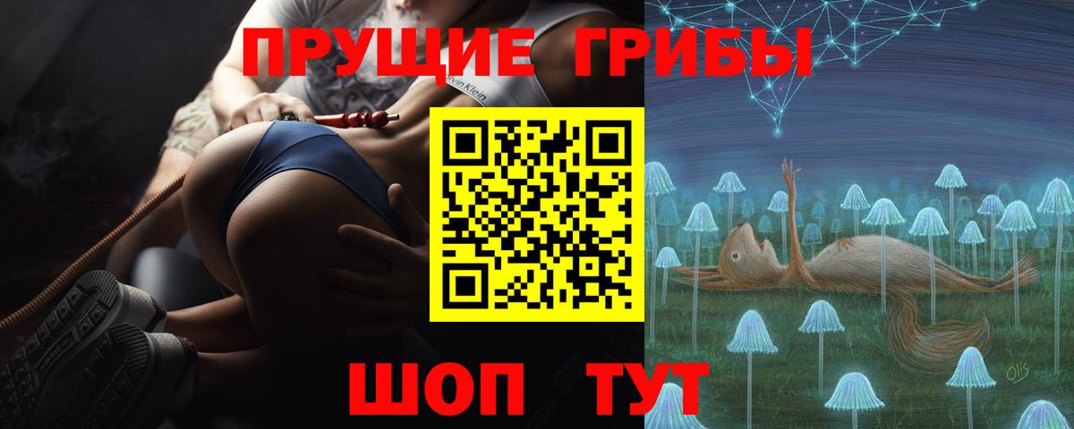 Краснокаменск  Галлюциногенные грибы прущие грибы  Галлюциногенные грибы Cubensis  Вход с VPN 